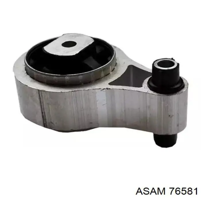 Soporte del soporte trasero del motor Asam 76581 precio, desde 19,79 EUR