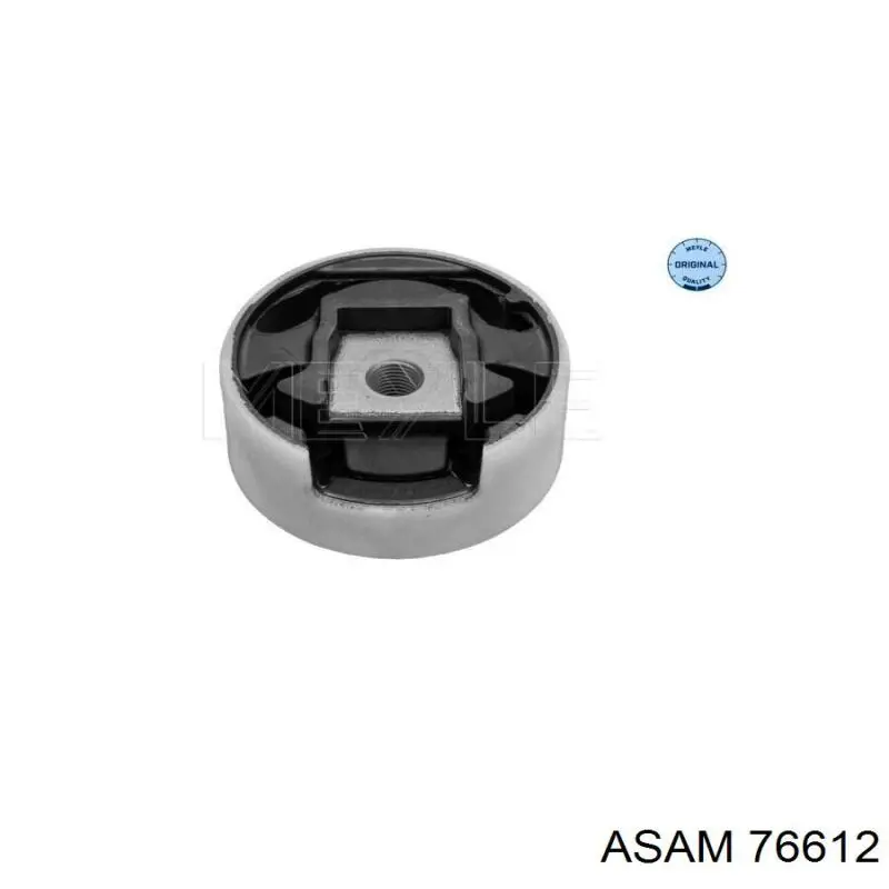 76612 Asam soporte, motor, trasero, silentblock