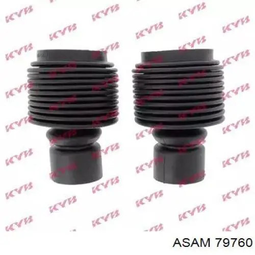 79760 Asam caperuza protectora/fuelle, amortiguador delantero