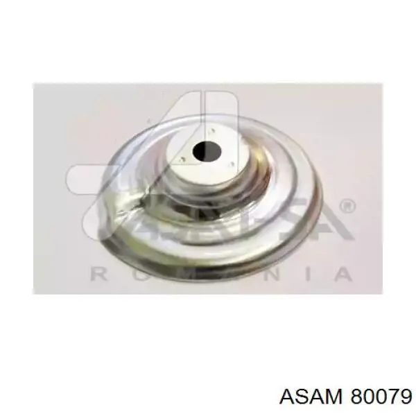 Cojinete columna de suspension Asam 80079