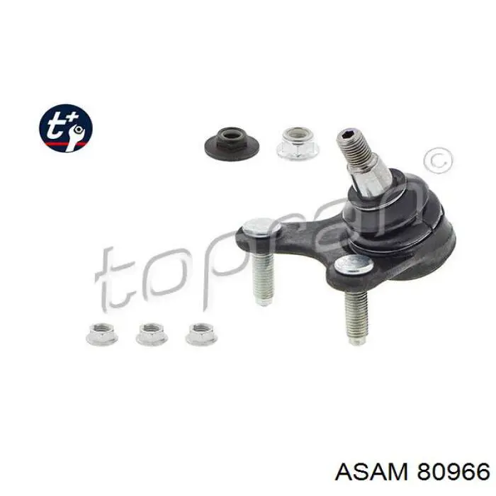 Rótula de suspensión inferior derecha Asam 80966 precio, desde 16,17 EUR