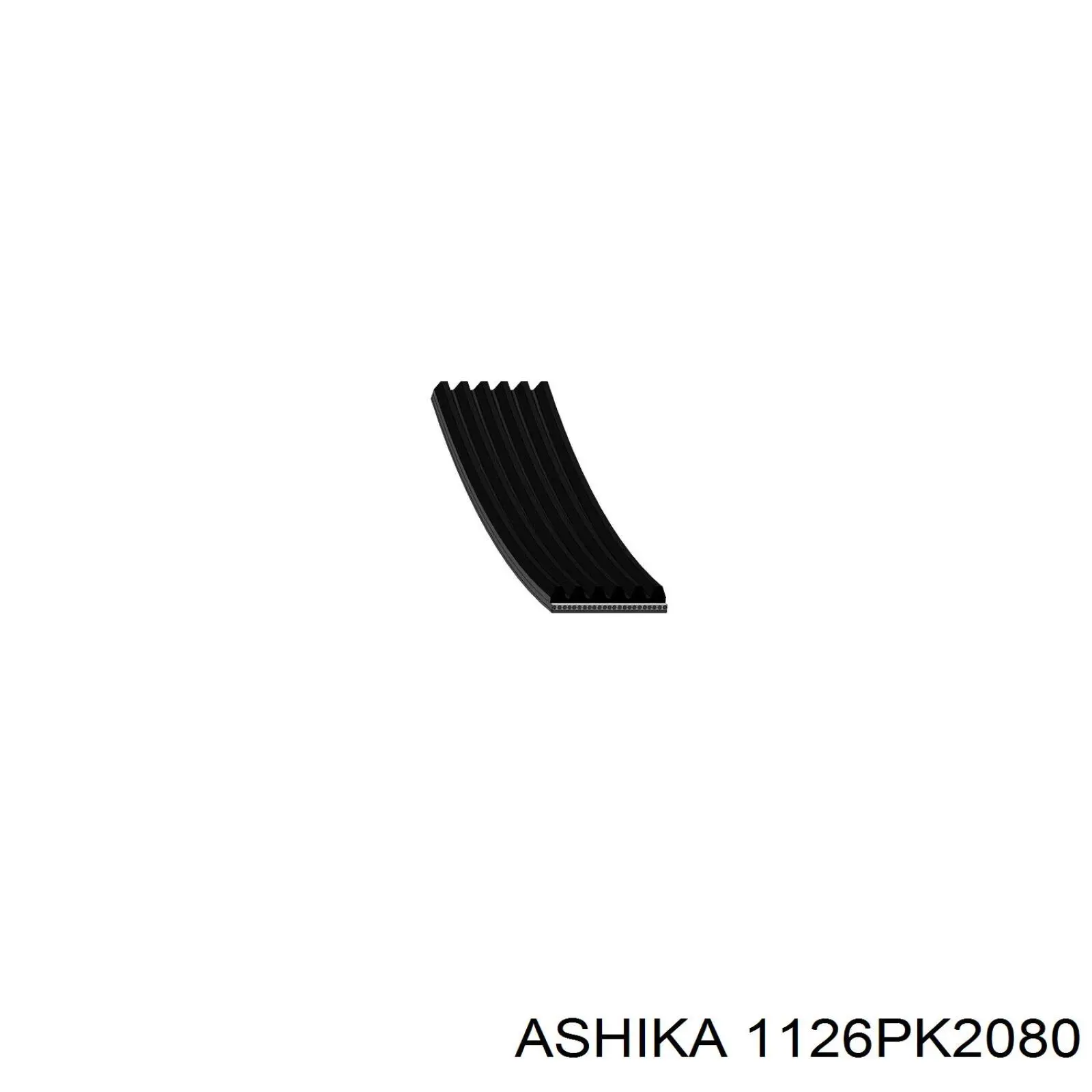 1126PK2080 Ashika correa trapezoidal