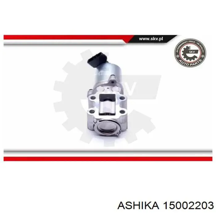 Comprar 256200R02284 Toyota Válvula EGR