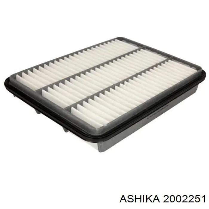 20-02-251 Ashika filtro de aire