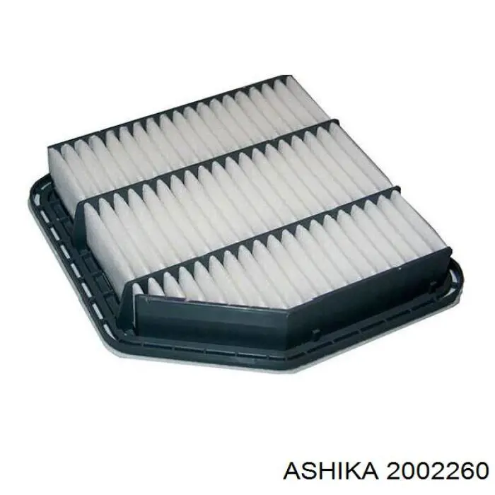 20-02-260 Ashika filtro de aire