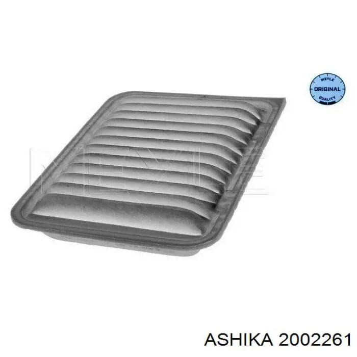 2002261 Ashika filtro de aire
