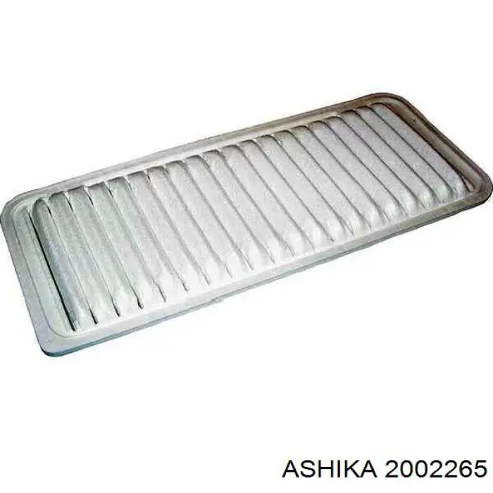 20-02-265 Ashika filtro de aire