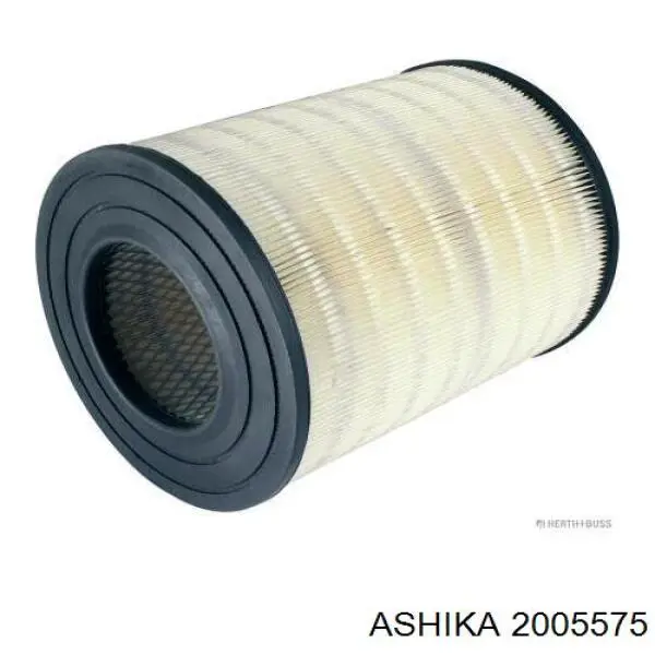 2005575 Ashika filtro de aire