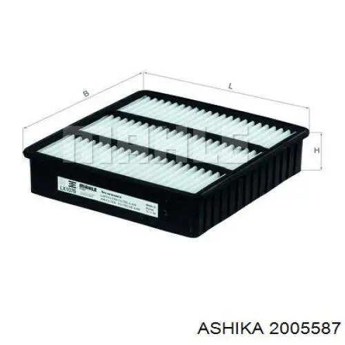 2005587 Ashika filtro de aire