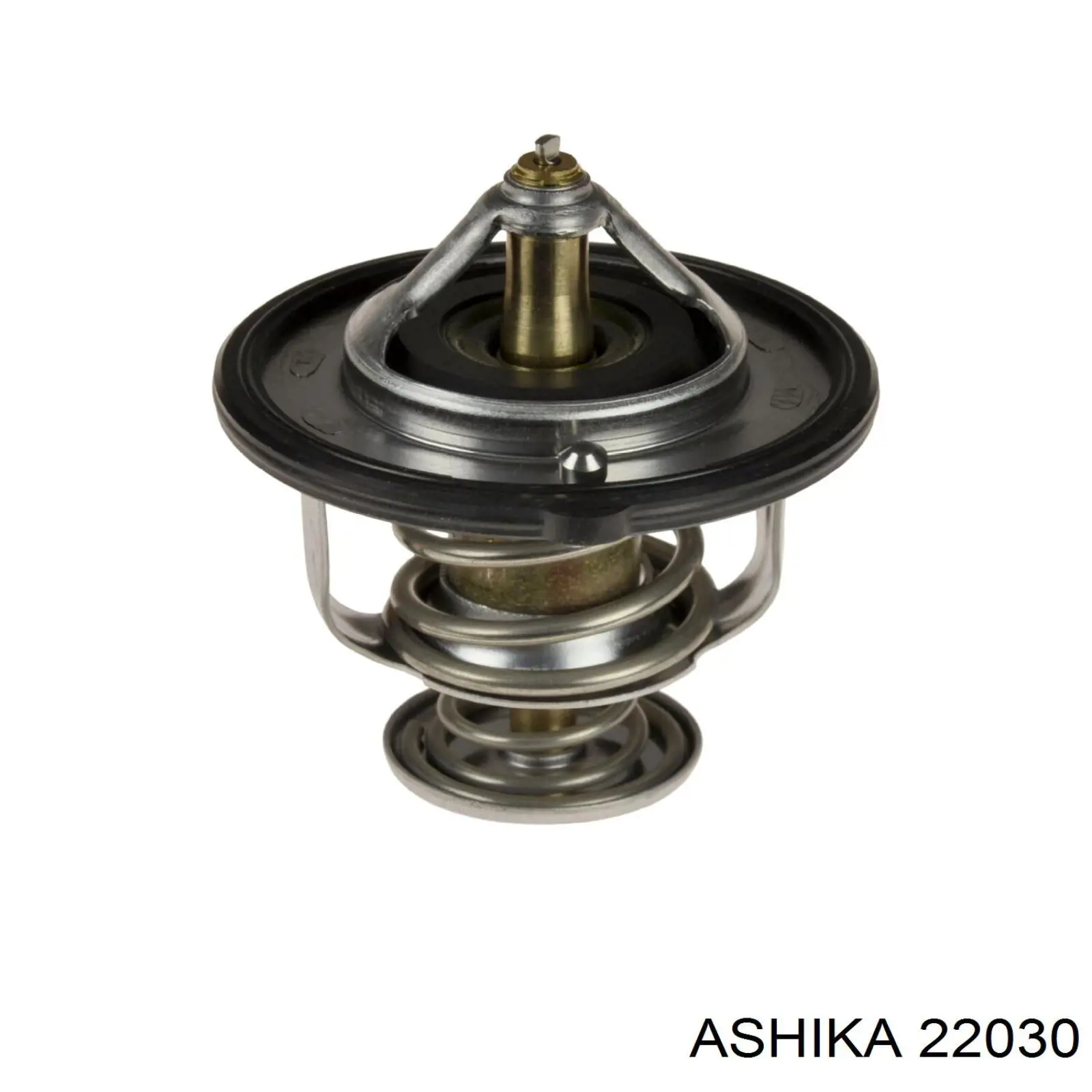 22030 Ashika termostato, refrigerante