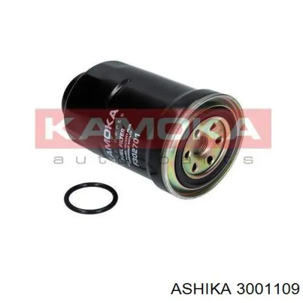 3001109 Ashika Filtro de gasolina