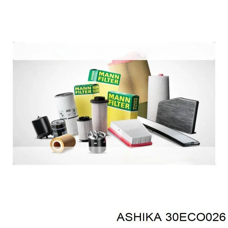 30-ECO026 Ashika filtro combustible