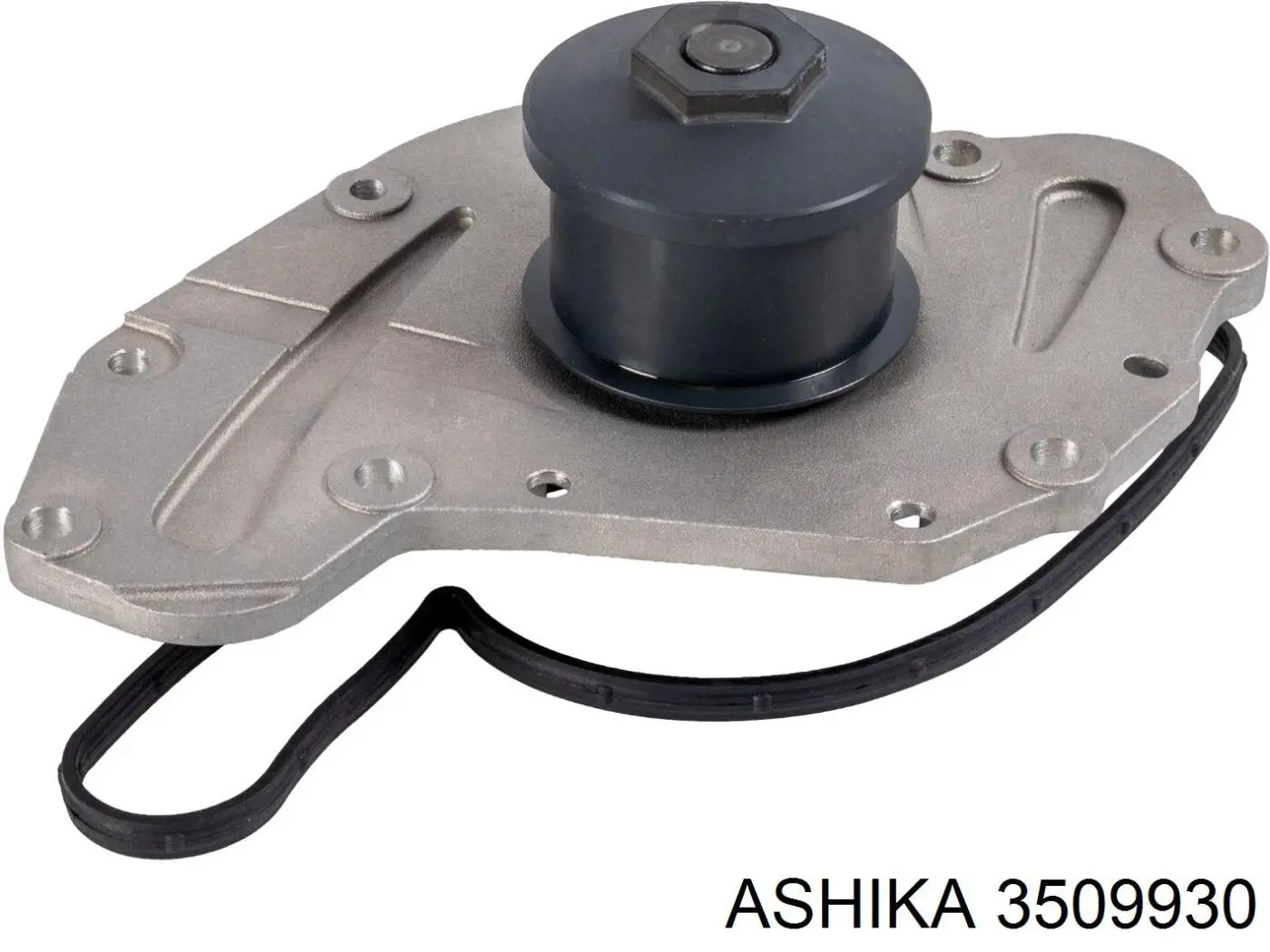 3509930 Ashika bomba de agua
