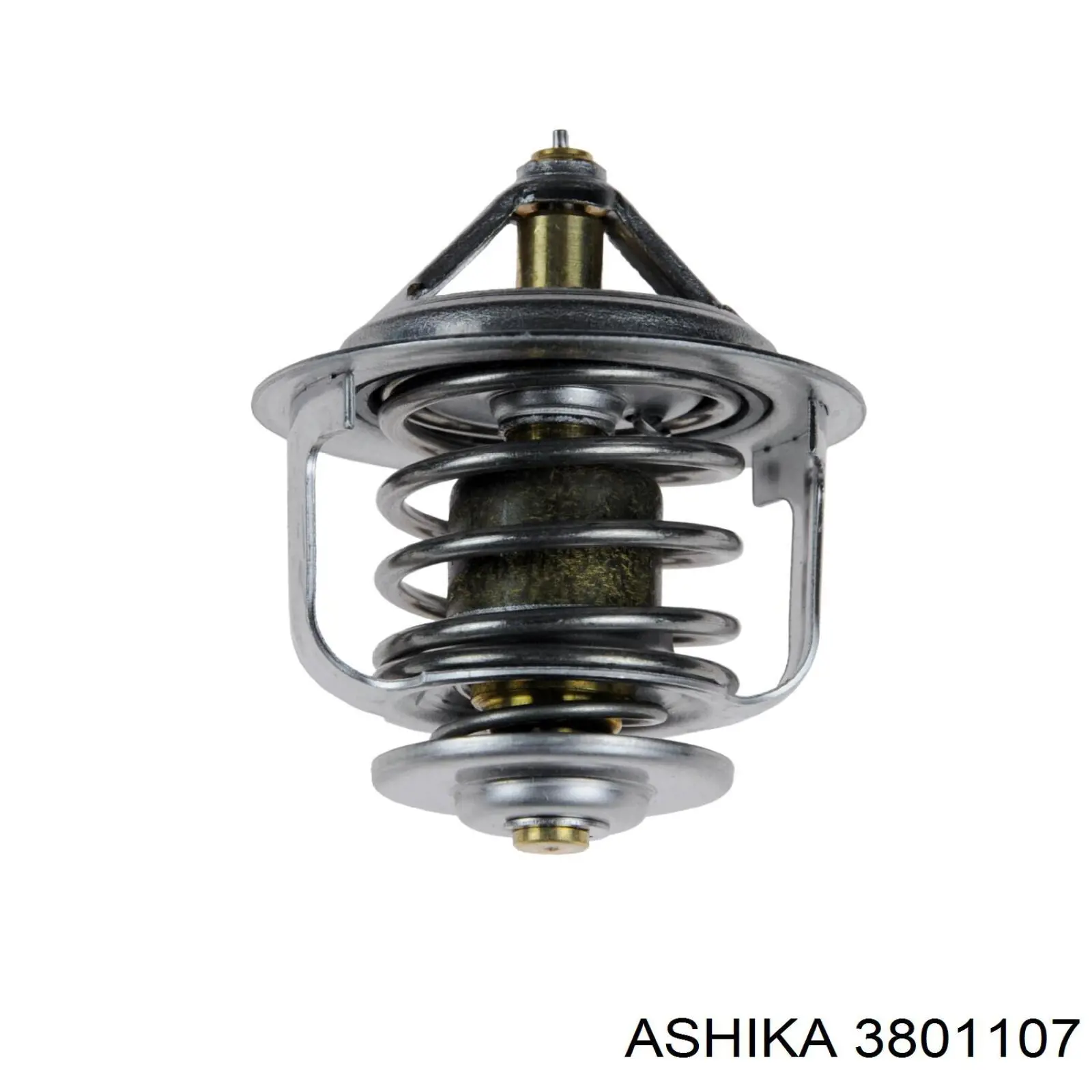 3801107 Ashika termostato