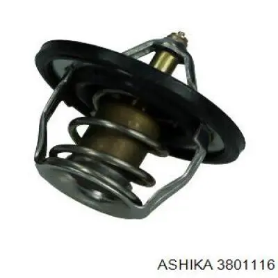 3801116 Ashika termostato