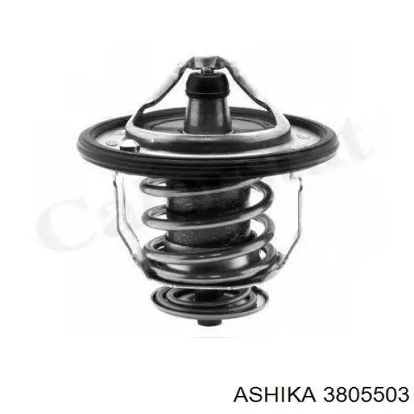 38-05-503 Ashika termostato