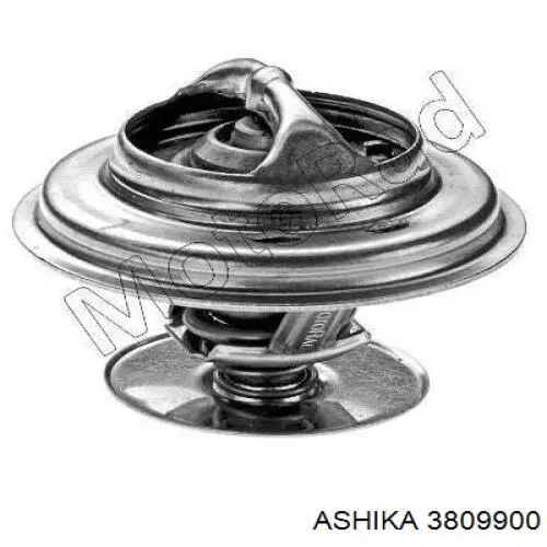 Comprar 3809900 Ashika Termostato