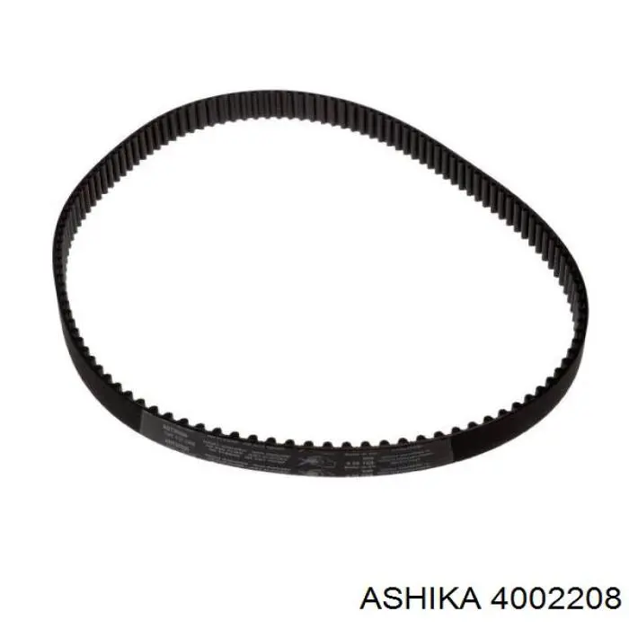 DD208 Japan Parts Correa dentada