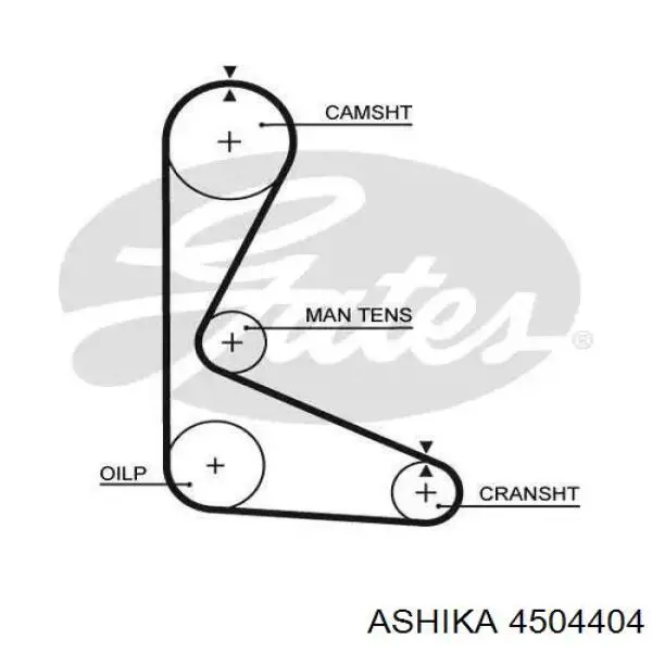 Tensor, correa de distribucion 4504404 Ashika