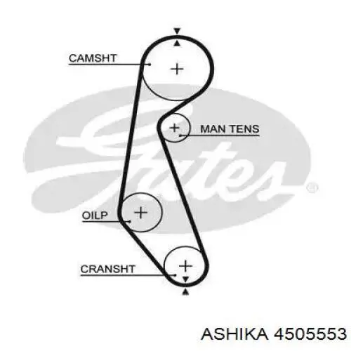 GHAT132 GMB Tensor de la correa de distribución