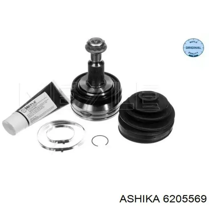 6205573 Ashika Junta homocinética