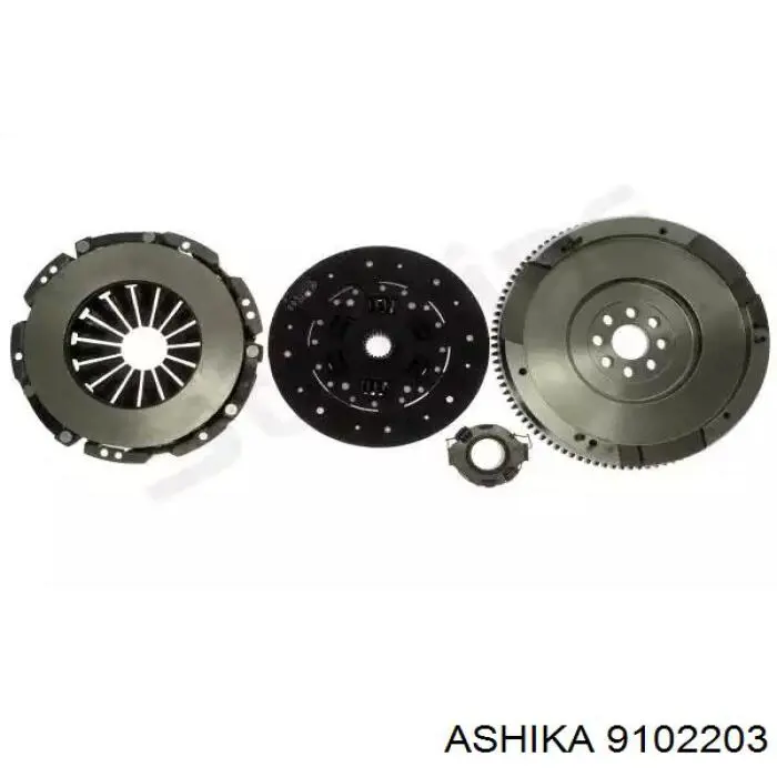 Comprar T205A02A NPS Volante de motor bimasa