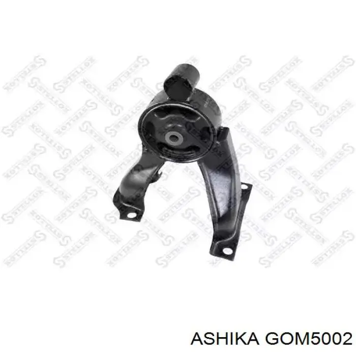 GOM5002 Ashika soporte de motor trasero