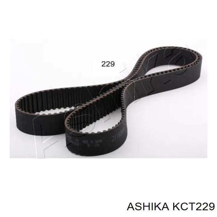 KCT229 Ashika