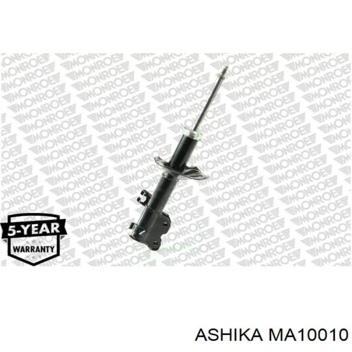 MA10010 Ashika