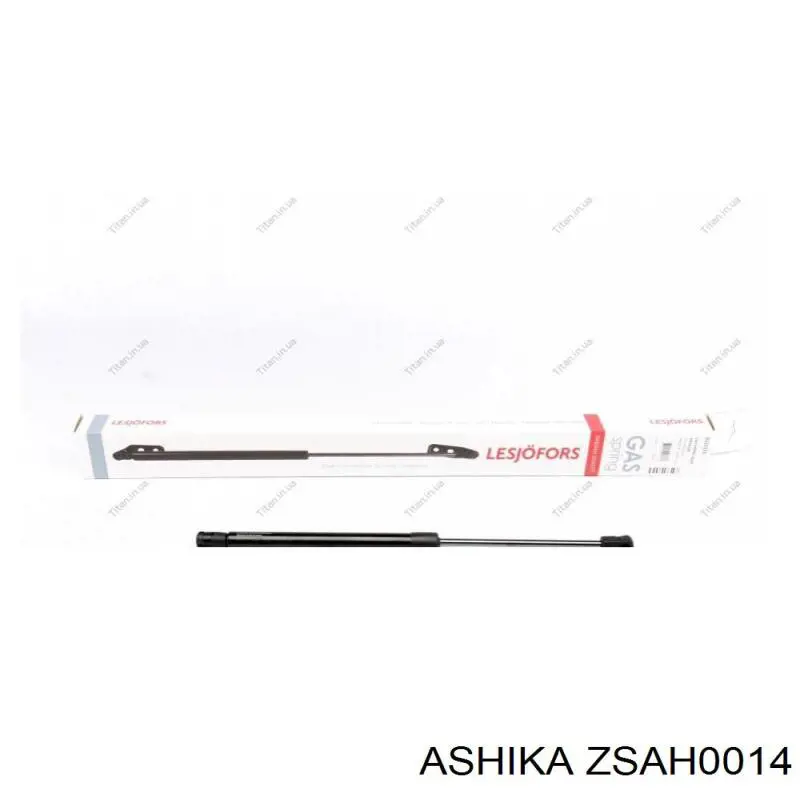 ZSAH0014 Ashika