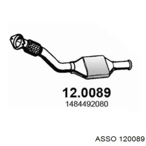 Comprar 120089 Asso Catalizador
