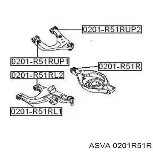 0201R51R Asva suspensión, brazo oscilante trasero inferior