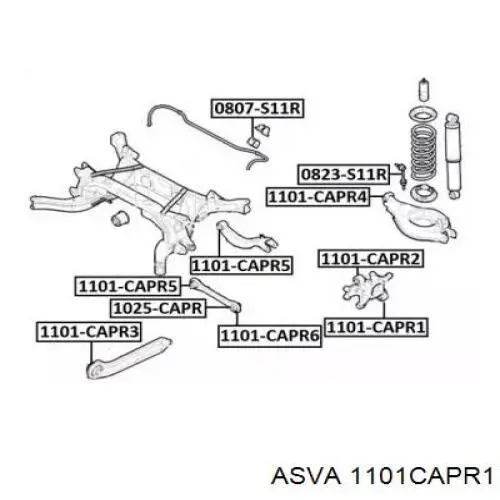 1101CAPR1 Asva silentblock de mangueta trasera