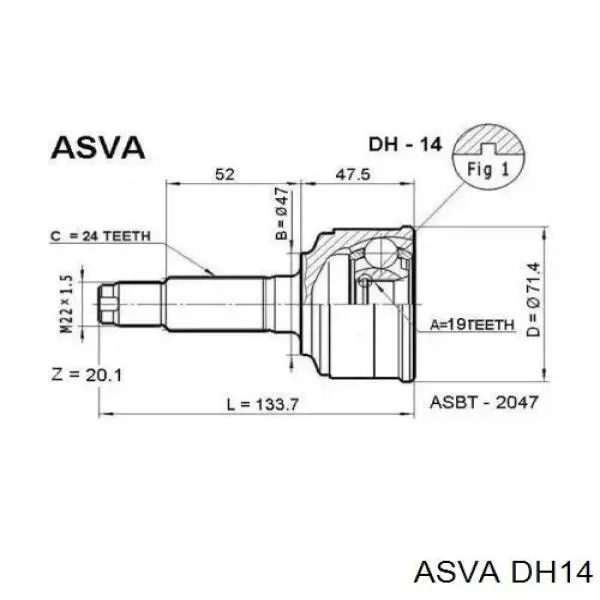 DH14 Asva junta homocinética exterior delantera