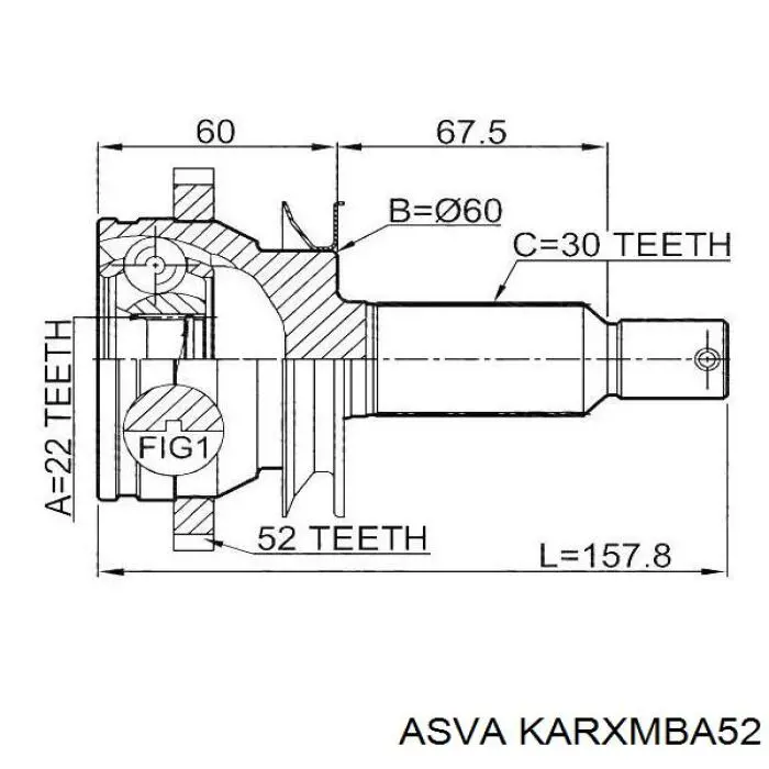 KARXMBA52 Asva junta homocinética exterior trasera