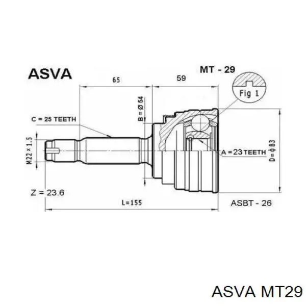 MT29 Asva junta homocinética exterior delantera