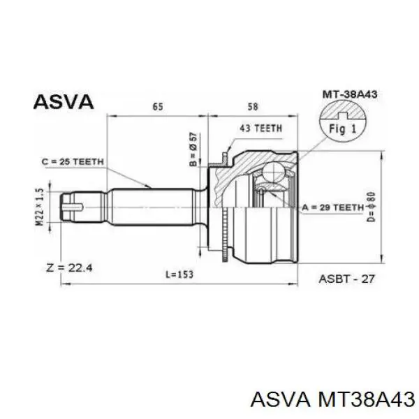 MT38A43 Asva junta homocinética exterior delantera