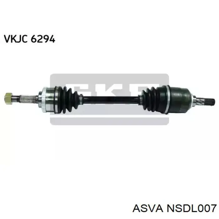 NSDL007 Asva