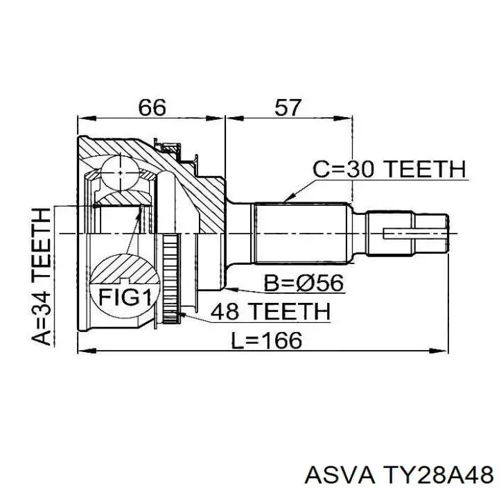 TY28A48 Asva junta homocinética exterior delantera