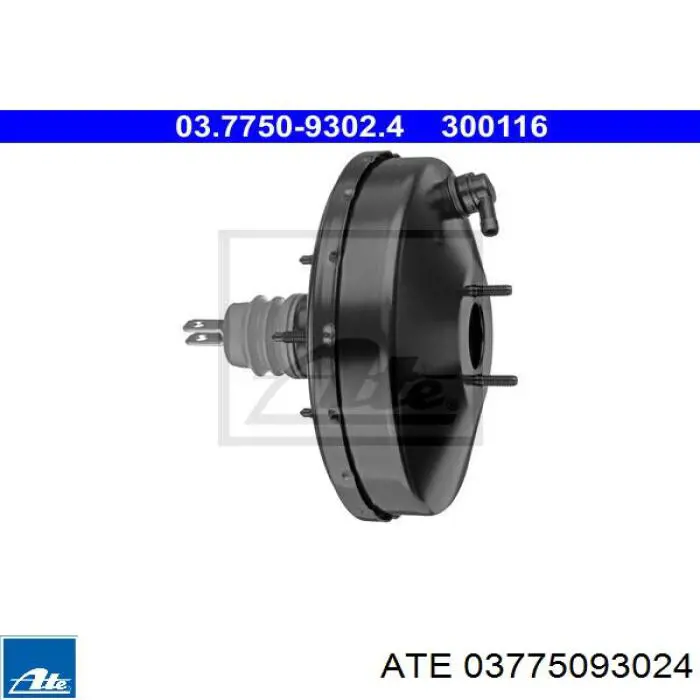 Comprar 4535G9 Peugeot/Citroen Servofreno