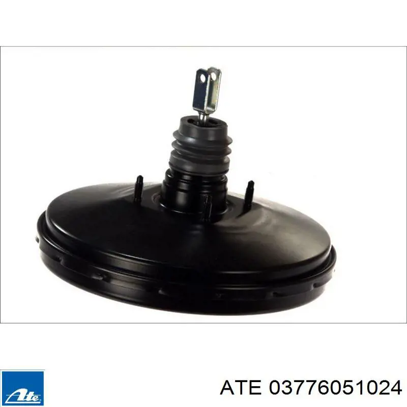 Servofreno Renault (RVI) 7701206227 precio, desde 277,19 EUR