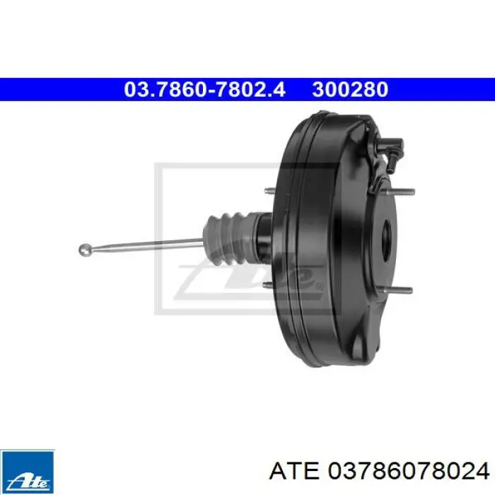 Comprar Servofreno Citroen C5  III  RW