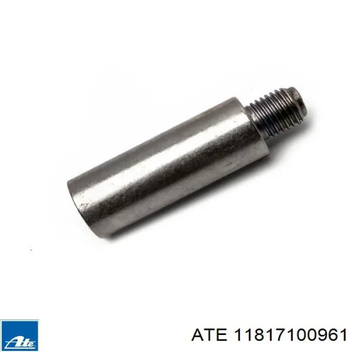 Guía de la pinza de freno delantera 11817100961 ATE