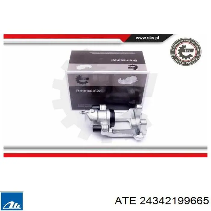 Pinza de freno trasera derecha ABS 430842