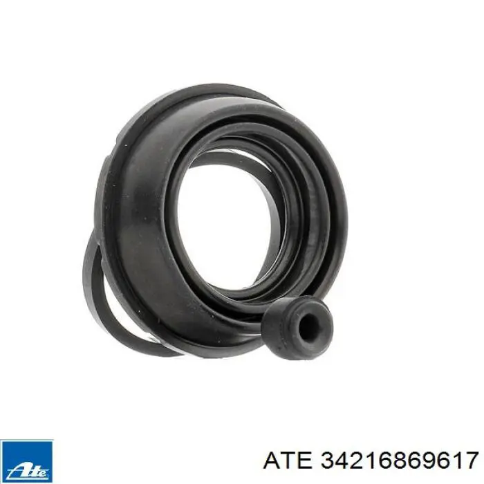 Juego de reparación, pinza de freno delantero Peugeot 205 1 741A, C