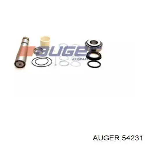 Comprar 54231 Auger Juego de reparación de pivote de muñón de dirección