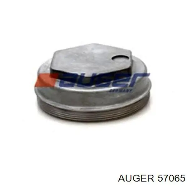 57065 Auger cojinete de rueda trasero