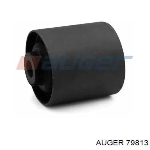 79813 Auger