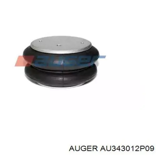 AU343012P09 Auger