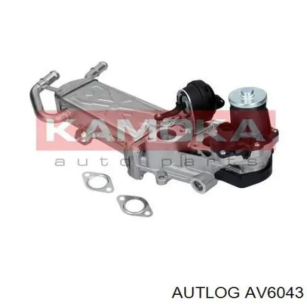 Enfriador de recirculación de gases de escape EGR VAG 03P131512EX precio, desde 140,99 EUR